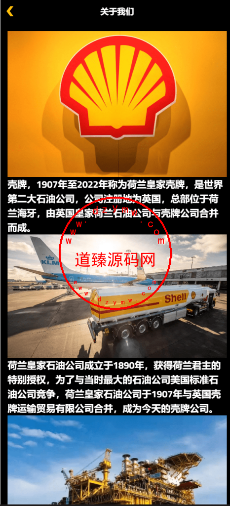 海外荷兰皇家壳牌理财投资系统源码/USDT投资理财系统/虚拟币投资理财插图14