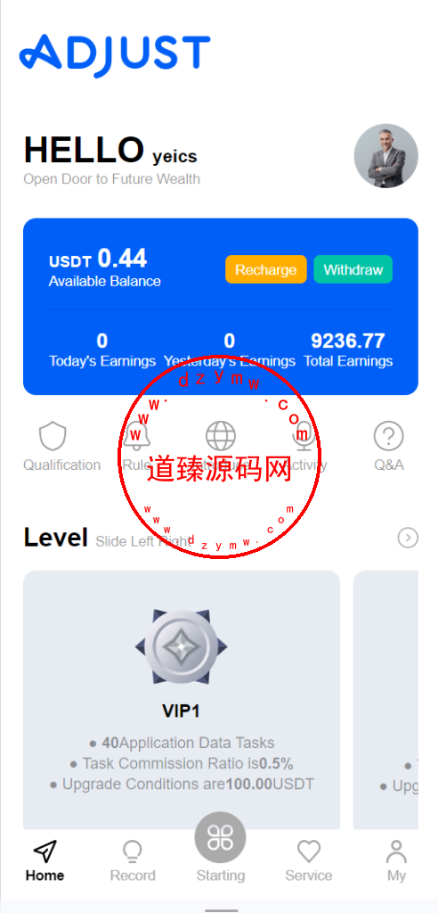 海外九国语言ADJUST刷单/APP刷单/加扣款/连单/利息宝插图1