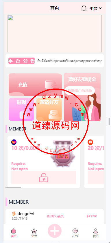 9国语言刷单系统/暗扣/加款功能-道臻源码网