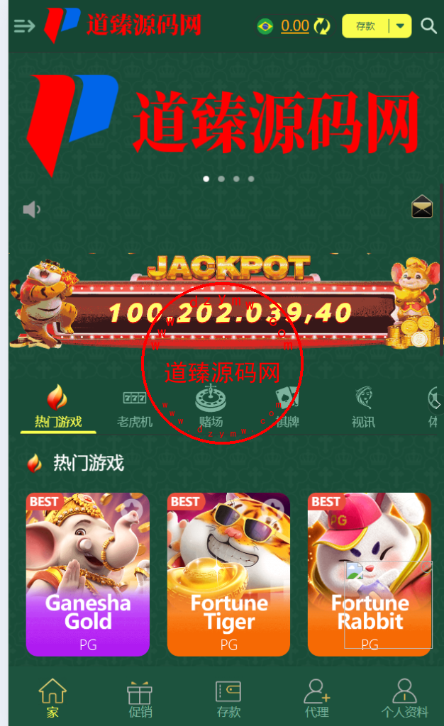 十二国/四主题/H5,PC自适应/包网PG电玩/全开源-道臻源码网