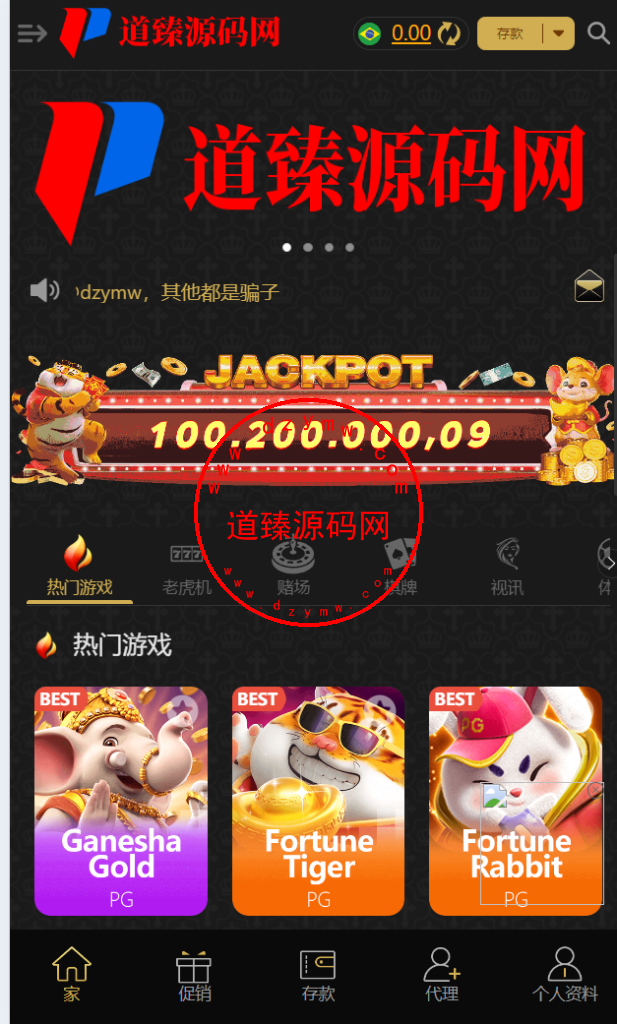 十二国/四主题/H5,PC自适应/包网PG电玩/全开源插图2