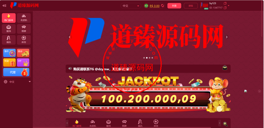 十二国/四主题/H5,PC自适应/包网PG电玩/全开源插图5