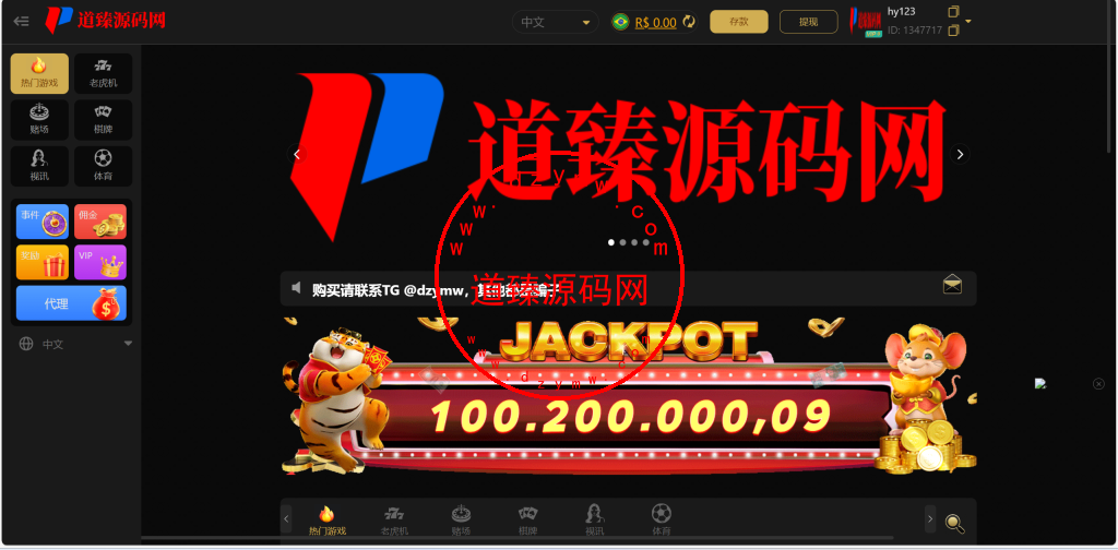 十二国/四主题/H5,PC自适应/包网PG电玩/全开源插图6
