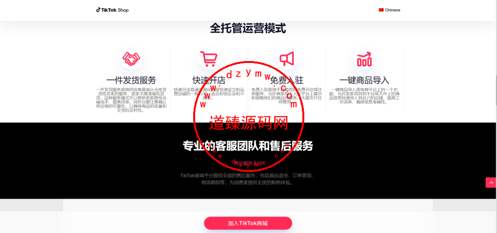 十一国Tiktok商城落地页插图2
