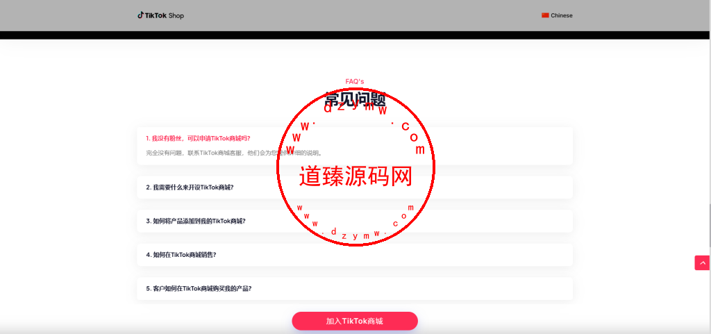 十一国Tiktok商城落地页插图3