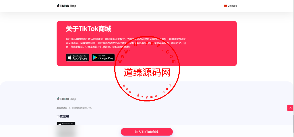 十一国Tiktok商城落地页插图5