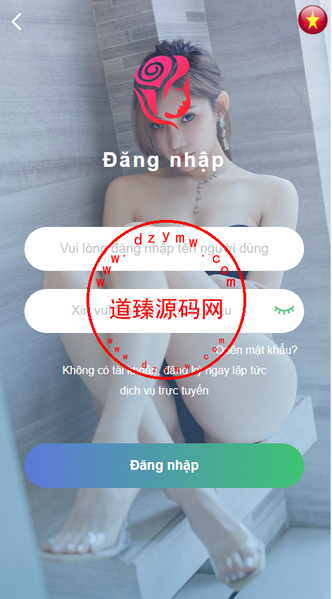 客户定制越南语空降蓝色版/vue全开源-道臻源码网