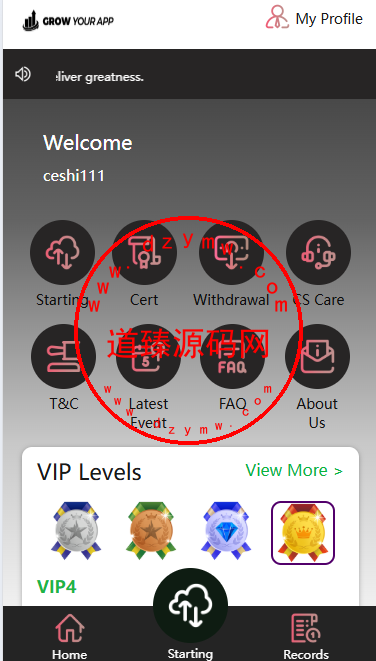 海外刷单系统/自定义分组设置/快杀/叠加组/独立代理后台插图1