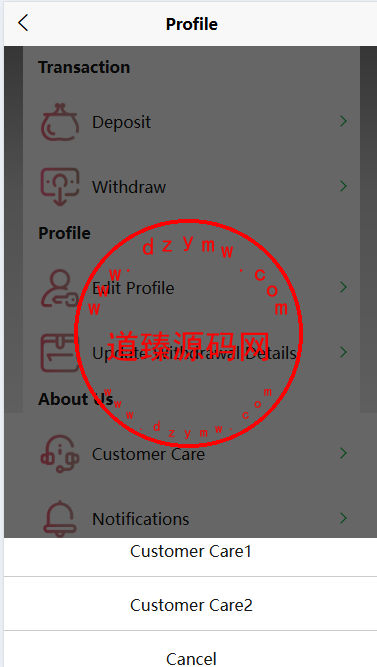 海外刷单系统/自定义分组设置/快杀/叠加组/独立代理后台插图8