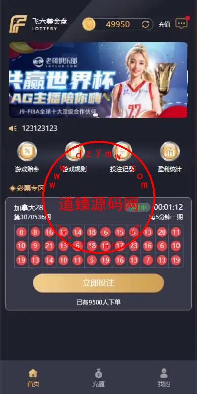 海外多语言pc28系统/java28竞猜游戏/28游戏源码-道臻源码网
