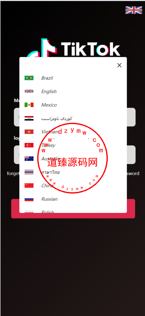 新版多语言TikTok商城抢单刷单源码/抢单派单叠加插图1