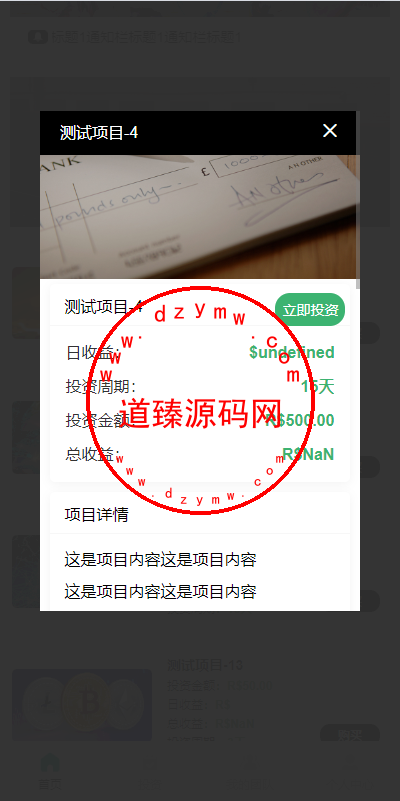 海外多语言投资理财系统/投资认购系统/前端vue插图8