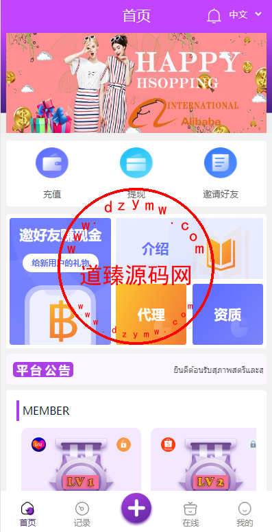 九套UI可切换海外抢单刷单系统/订单自动匹配系统/分组杀/连单控插图9 九套UI可切换海外抢单刷单系统/订单自动匹配系统/分组杀/连单控插图9