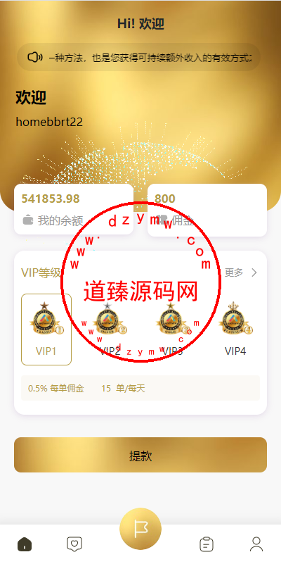 新版多语言抢单刷单系统/连单刷单/海外抢单刷单源码-道臻源码网
