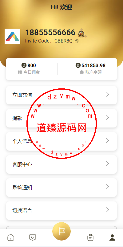 新版多语言抢单刷单系统/连单刷单/海外抢单刷单源码插图9