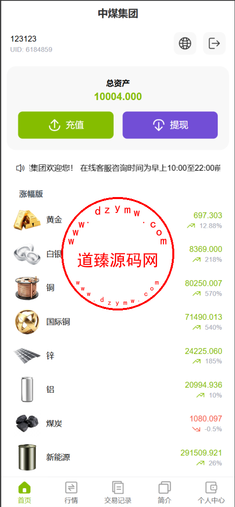 vue独家六国语言/贵金属/外汇/虚拟币/微交易系统插图2