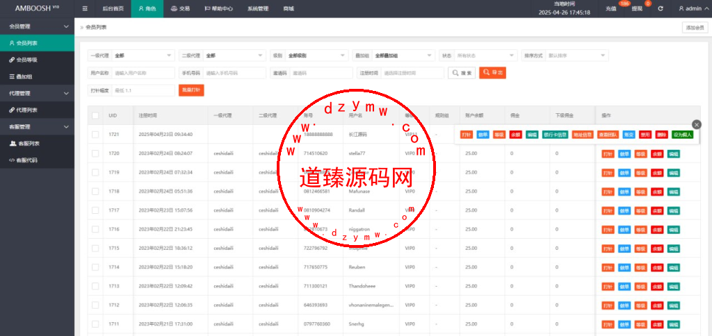 海外刷单系统源码/打针/叠加/真假人插图12