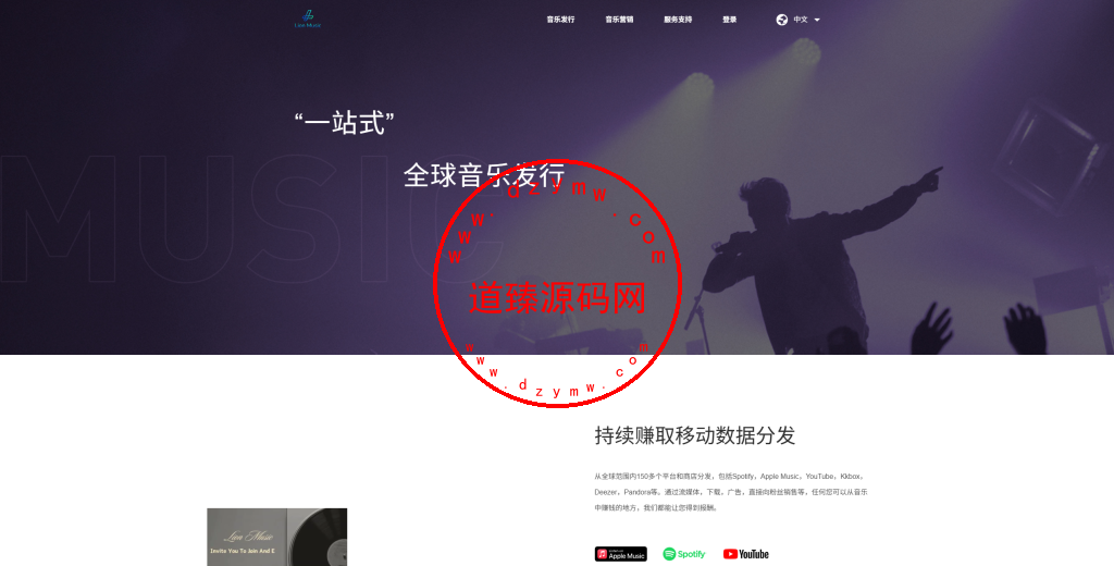 海外多语言音乐刷单落地页/手机PC 自适应插图9