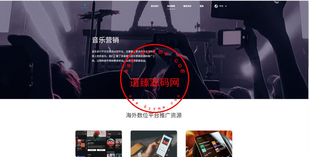 海外多语言音乐刷单落地页/手机PC 自适应插图14