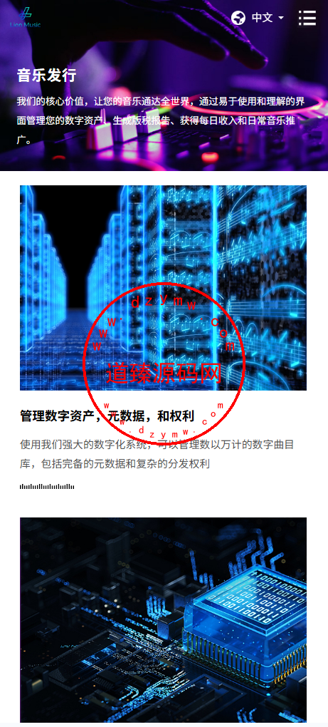 海外多语言音乐刷单落地页/手机PC 自适应插图4
