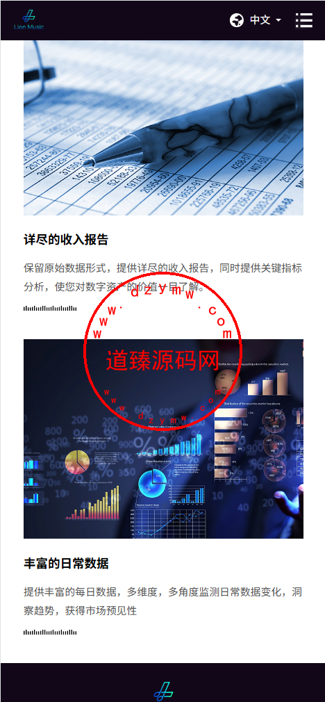海外多语言音乐刷单落地页/手机PC 自适应插图5