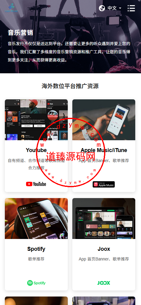 海外多语言音乐刷单落地页/手机PC 自适应插图6