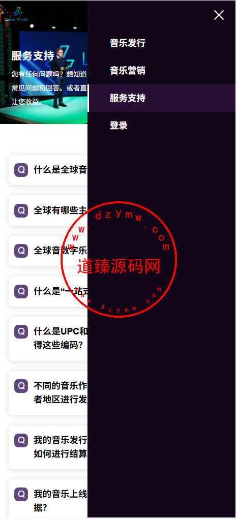 海外多语言音乐刷单落地页/手机PC 自适应插图3