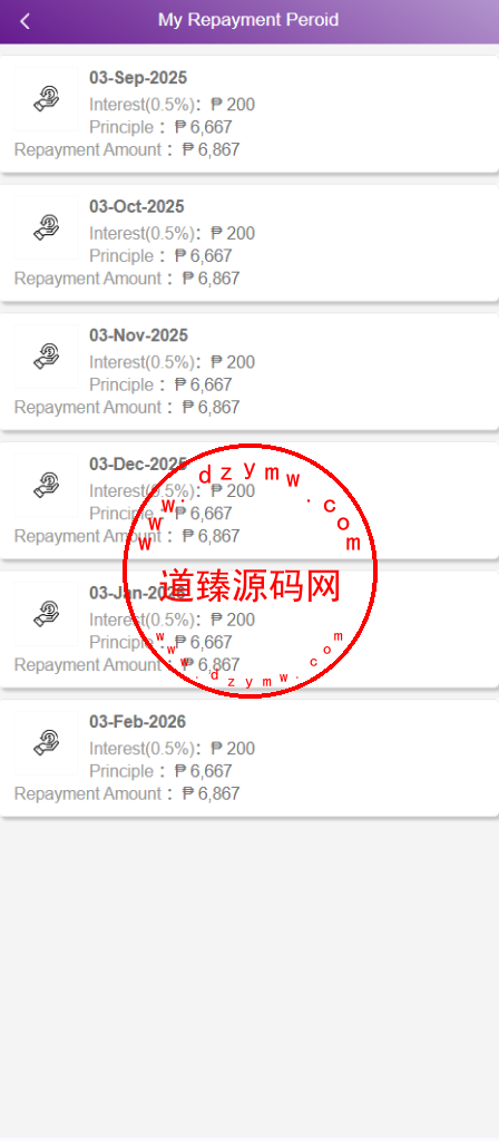 运营级全开源海外贷款平台/海外套路贷/贷款平台源码/后台为多语言插图8