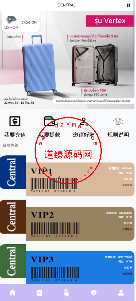 多语言海外抢单刷单系统/分组杀/打针做单/订单自动匹配系统插图